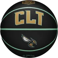 Wilson Electronics Wilson NBA Team City Collector Charlotte Hornets boll WZ4016404ID - 7