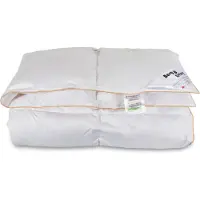 Borg Living Gåsdunstäcke - Helårstäcke med 100% dun - 240x220 cm -