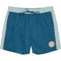 Billabong Dbah Panel Simshorts