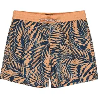 Billabong Vacay Simshorts