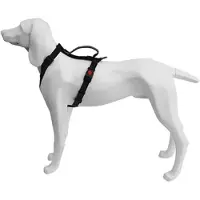 Freedog Extreme Hundsele