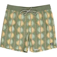 Billabong Vacay Simshorts