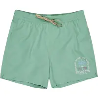 Billabong Foundation Simshorts