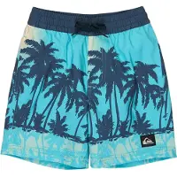 Quiksilver Everyday Printed Volley 13´´ Simshorts