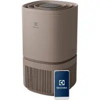 Electrolux Luftrenare EPO50351BG