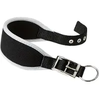 Ferplast Ergocomfort 25 Mm 46 Cm Hundhalsband