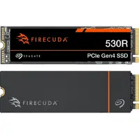 Seagate FireCuda 530R ZP4000GM3A073 - SSD - 4 TB - inbyggd - M.2 2280 - PCIe 4.0 x4 (NVMe) - integrerad kylfläns - med 3 års Rescue Data Recovery