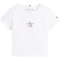 Tommy Hilfiger T-shirt marinblå / röd / transparent / vit