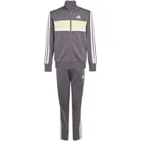 Adidas Seasonal Essentials Tiberio 3 Stripes Tricot Träningsdräkt