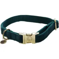 Kentucky Velvet Hundhalsband