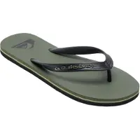 Quiksilver Molokai Core Sandals Grönt EU 40 Man