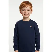 Tommy Hilfiger Flag Logo Terry Sweatshirt