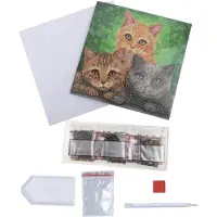 Hot Wheels Cats, 18x18 cm Crystal Art Card