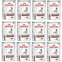 Royal Canin Dog gastrointestinal hund 12 x 400 g