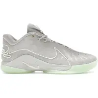 Nike LeBron XXII