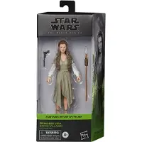 Hasbro Leia Star Wars: Jedins återkomst Prinsessan Ewokbyn Black Series-figur