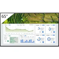 Sony FW-65BZ30L, Platt skärm för digital skyltning, 165,1 cm (65), LCD, 3840 x 2160 pixlar, Wi-Fi, 24/7