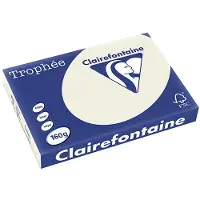 Clairefontaine 160g A3 papper | pärlgrå | 1065PC | 250 ark