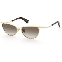 Nina Ricci Snr406 Cat Eye Solglasögon För Kvinnor