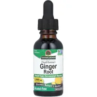 Natures Answer , Ginger Rot, Flytande Extrakt, Alkoholfritt, 1,000 mg, 1 fl oz (30 ml)