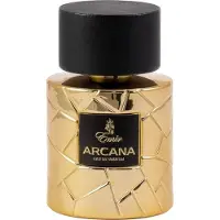 Emir Arcana Eau de Parfum 100 ml