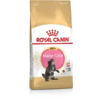 Royal Canin Maine Coon torrfoder för kattungar 4 kg