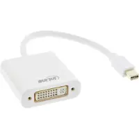 InLine DisplayPort Mini - DVI-D White AV Adapter (17194K)