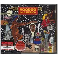 Sonic Voodoo in America