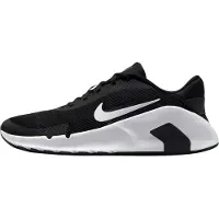 Nike Flex Train