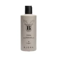 Björk VÄXA Kids Bath Foam 300 ml