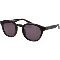 Police Sunglasses SPLL82M 0722 50