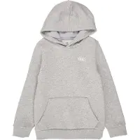 Under Armour Rival Fleece Huvtröja
