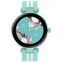 Canyon Semifreddo CNS-SW61BL smartwatch / sport watch