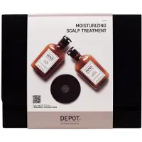 Depot Hårvårdsset för män: 100 Hair Cleansing No. 103 + 200 Hair Treatments No. 201 + Botanical Complex hårbalsam 250 ml + 250 ml