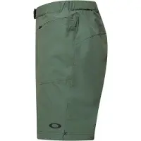 Oakley Apparel Seeker Whip Shorts