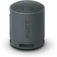 Sony SRS-XB100 - Högtalare - för bärbar användning - trådlös - Bluetooth - Appkontrollerad - svart