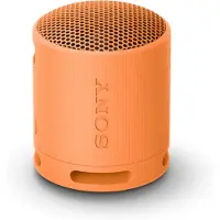 Sony SRS-XB100 bärbar Bluetooth-högtalare