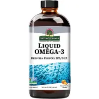 Natures Answer , Flytande Omega-3, Djuphavs fiskolja EPA/DHA, Orange, 16 fl oz (480 ml)