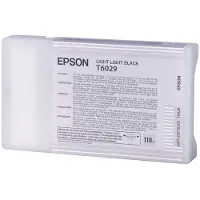 Epson T6029 ljus ljus svart bläckpatron (original)