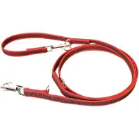 Julius-K9 K9 C&G dressyr-/träningslina röd/grå 20 mm/2,2 m