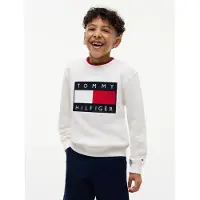 Tommy Hilfiger Sweatshirt 'Heritage' marinblå / röd / vit / ullvit