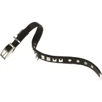 Ferplast Dual 25 Mm 45 Cm Hundhalsband