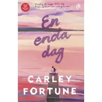 En enda dag