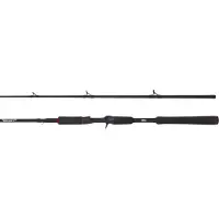 Abu Garcia Beast Pike