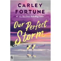 Our Perfect Storm