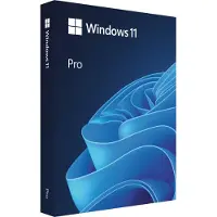 Microsoft Windows 11 Pro - Boxpaket - 1 licens - flashdrive - 64-bit - English International