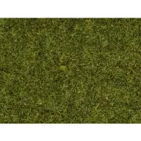 Noch 07117 Vildgräs Beige, Brun