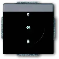 ABB 2CKA002011A3884 Enhetsinsats IP20 Svart, Jetsvart (RAL 9005)