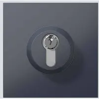 Siedle 210004992-00 Porttelefon-tillbehör Funktionsmodul Antracit