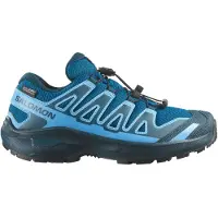 Salomon Xa Pro Wp Trailskor